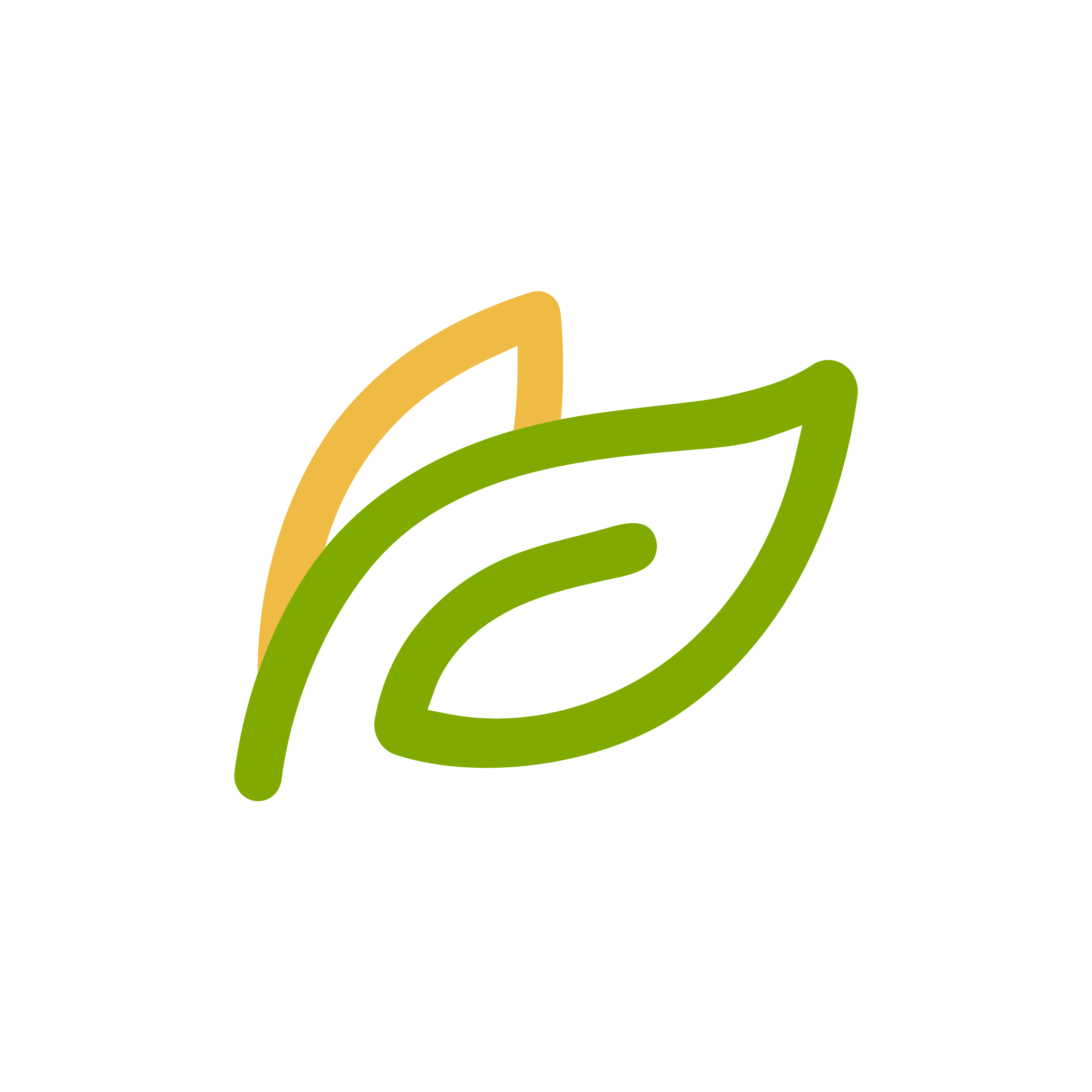 healthy food restaurants in egypt